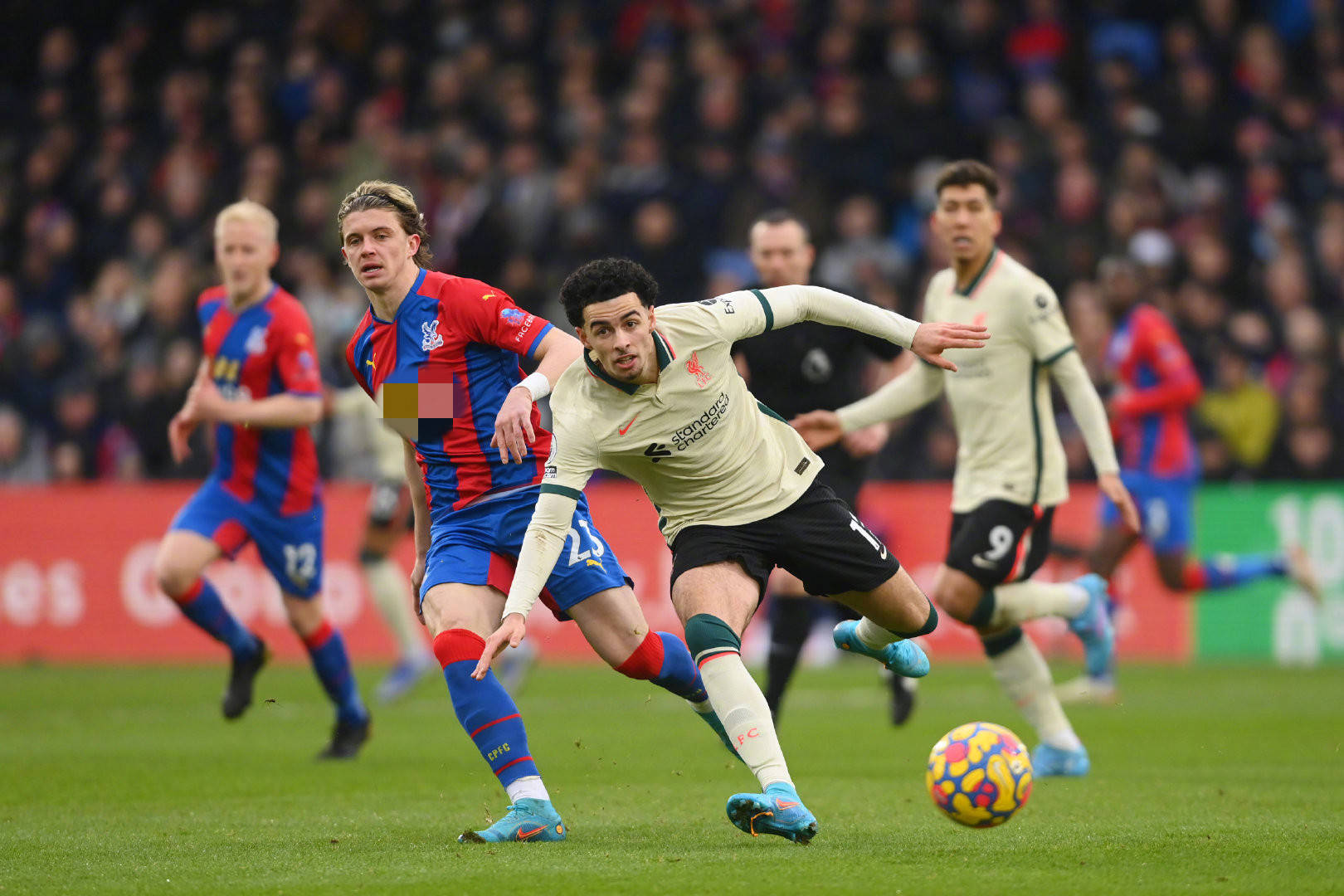 员的名字掀 员的名字掀